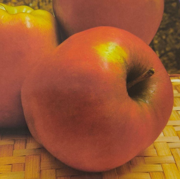 MELA STARK DELICIOUS | Malus domestica Stark Delicious