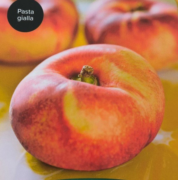 PESCA NOCE PIATTA NETTARINA | Prunus Persica Piatta Nettarina